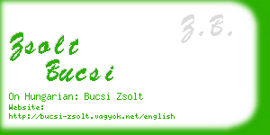 zsolt bucsi business card